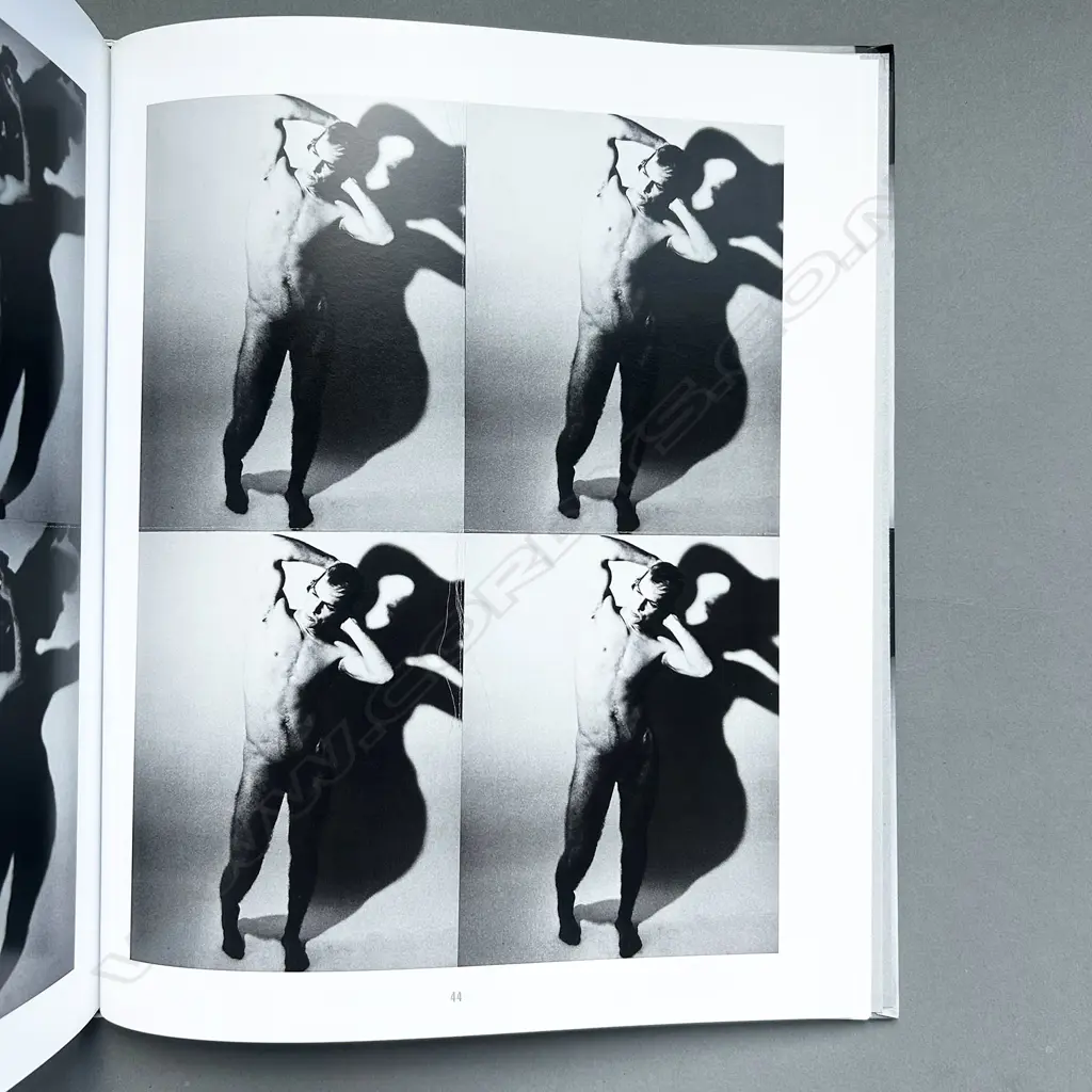 ANDY WARHOL: EROS AND MORTALITY THE LATE MALE NUDES Image 1++